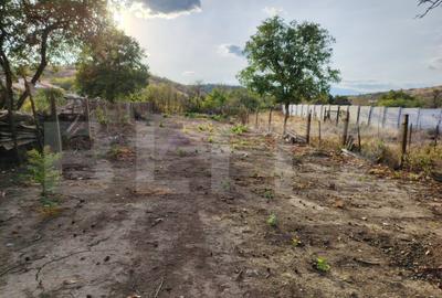 Teren intravilan, 822 mp, Podari - 3