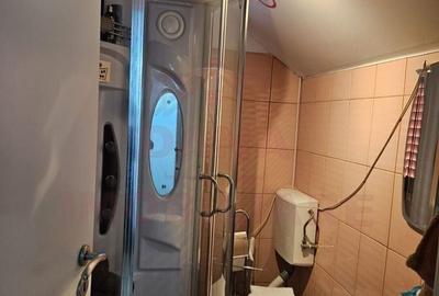 CASĂ DE VÂNZARE ÎN POUANA MĂRULUI,JUD. CARAȘ-SEVERIN - 16