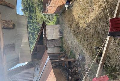 Casă cu 2 camere în Borlova