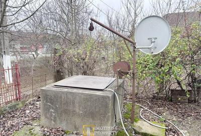 Teren de 3252 mp, în Tauț - 11