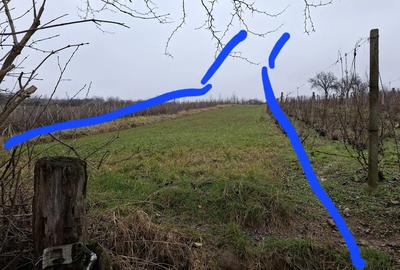 Casa batraneasca de vanzare com. Faraoani jud . Bacau - 5