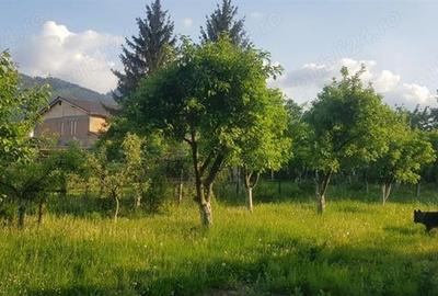 Casă individuală cu 4 camere în Turcheș
