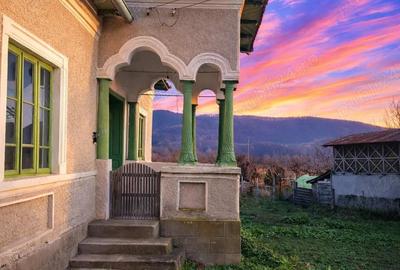 Teren de 4443 mp, în Bratia din Vale - 10