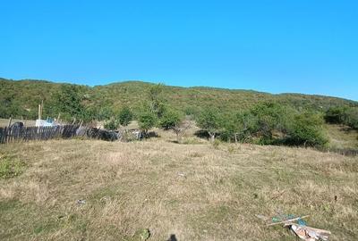 Spațiu comercial, în Central - 6