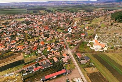 FILM! Gospodarie cu atmosfera traditionala,1.032 mp de verde si gradinarit, Sanz - 5