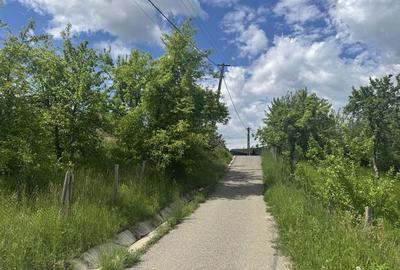 Spațiu comercial, în Văleni-Dâmbovița - 1