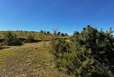 0% Comision- Teren cu constructie, langa padure-600 mp, Purcareni - 3