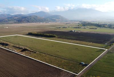 Proiect Rasnov Teren Intravilan, 45 de loturi- Investitie! Proiect Rasnov Teren Intravilan, 45 de loturi- Investitie! - 4