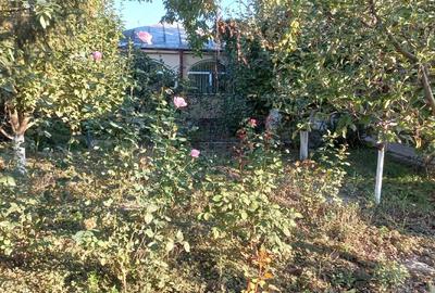 Casă individuală cu 5 camere cu Canalizare în Central - 2