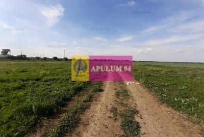 Teren Construcții intravilan de 3820 mp, în 1 Decembrie - 4