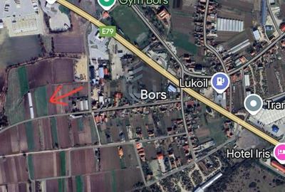 Teren intravilan in Bors - 1