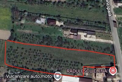 Spațiu comercial, în Berevoești - 1