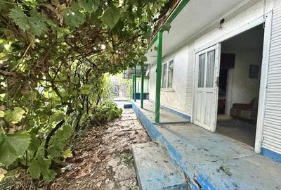 Vand casa batraneasca Vand casa batraneasca - 6