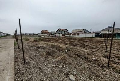 Teren de 700 mp, în Sârbi - 1