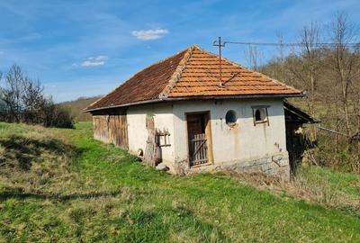 Casă individuală cu 2 camere cu Teren 13000 Mp în Tomești - 12