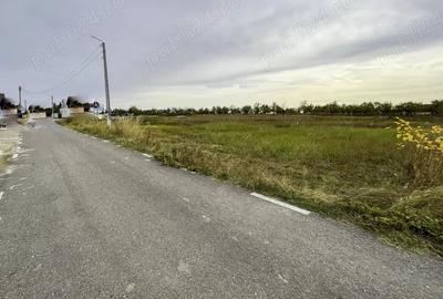 Teren de 1776 mp, în Albota