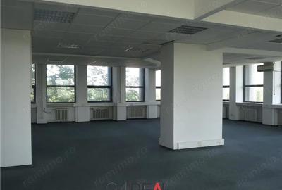 Spațiu comercial, în Kiseleff - 4