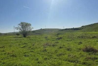 Cota de 1/2 din teren extravilan, comuna Rogova, Jud Mehedinti Cota de 1/2 din teren extravilan, comuna Rogova, Jud Mehedinti - 2