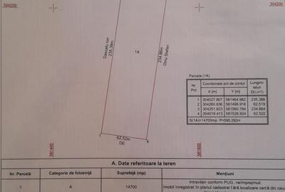 Vanzare teren 14700mp Adunatii Copaceni - 1