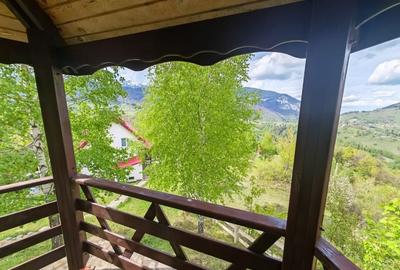 PESTERA CASA DE VANZARE - MOECIU! - 3