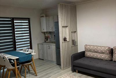 Apartament cu 2 camere decomandat în Preajba - 2
