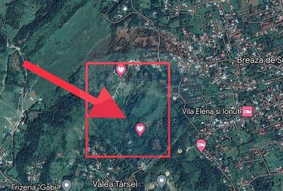 Teren intravilan Breaza 21190 mp Dealuri str. Livezi 6G - 1