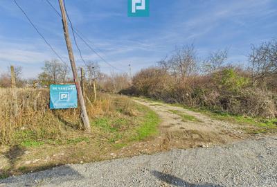 Casuță cu priveliște panoramică spre Cetatea Șiria - 45