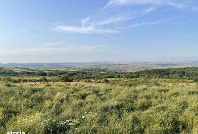 Spațiu comercial, în Florești - 1