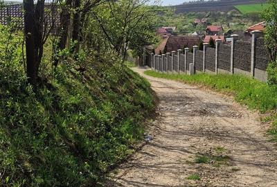 Teren de 1536 mp, în Ceuaș - 3