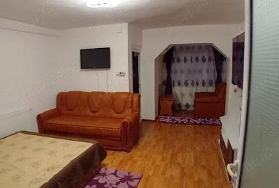 Garsoniera de vanzare in olt bals - 3