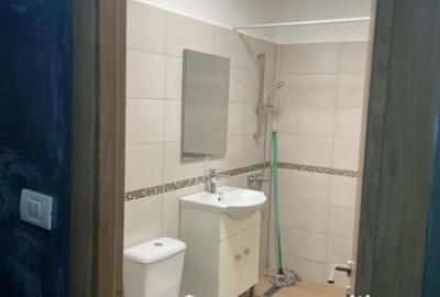 Garsonieră în Brazda lui Novac - 9