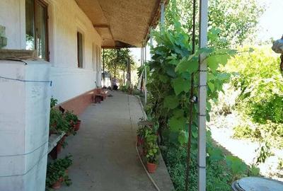 Casă cu 5 camere cu Teren 2040 Mp în Lipnița - 2