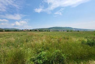 Teren de 1800 mp, în Gușterița - 4