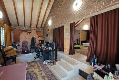 Vila 4+ camere, iaz cu peste, livada, 5300 mp teren, foisor, pivnta si crama, in - 17