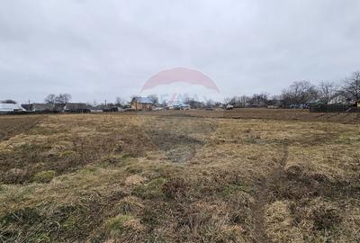 Casă individuală cu 12 camere cu Garaj în Siminicea - 11