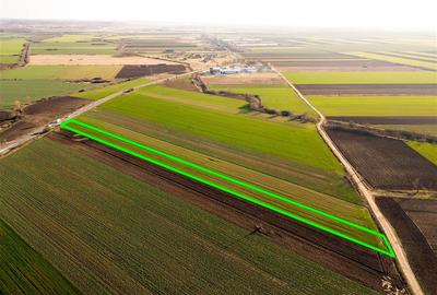 Teren intravilan de 5000 mp, în Tămășeu - 5