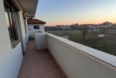 Saftica Ilfov Vila 257mp, 6 camere, Curte Teren 1227 mp, nou 2015 - 18