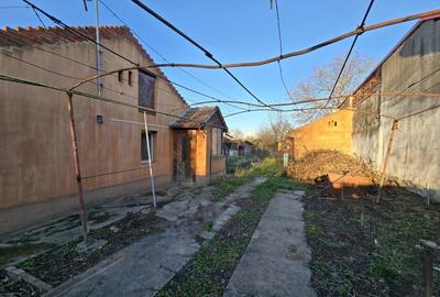 Casă individuală cu 3 camere cu Canalizare în Fratelia - 4