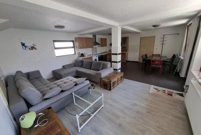 Str. Valea Rosie proprietate compusa din 2 imobile, casa P+M si una pe parter - 14