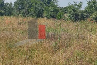Teren agricol intravilan de 727 mp, în Dobreni - 5