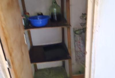 COLENTINA RAU, MAIOR BACILA, VAV ANL, - 2