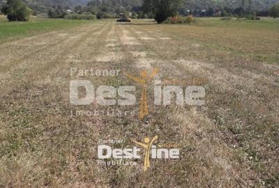 Teren Construcții intravilan de 4488 mp, în Pângărați - 2