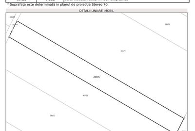 Teren în Alexandriei