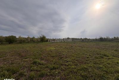 Spațiu comercial, în Paleu - 5