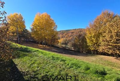 Teren Construcții intravilan de 3600 mp, în Cisnădioara - 2