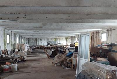 Spațiu comercial, de 1,700 mp, în Cicârlău - 1