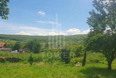 Casa Saseasca de vanzare in Somartin / Comision O % - 14