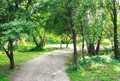 Casă individuală cu 5 camere cu Canalizare în Giulești - 13