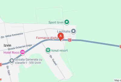 Spațiu comercial, 75 mp în Izvin - 1