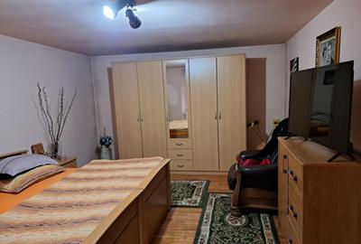 Casa mare cu 2 spatii comerciale, in Faget - 17